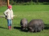 Eine Wiese geht in Winterschlaf (20)